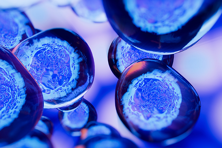 What Are Wharton’s Jelly Mesenchymal Stem Cells? Understanding WJ-MSCs, Secretomes, and Cell-Free Research